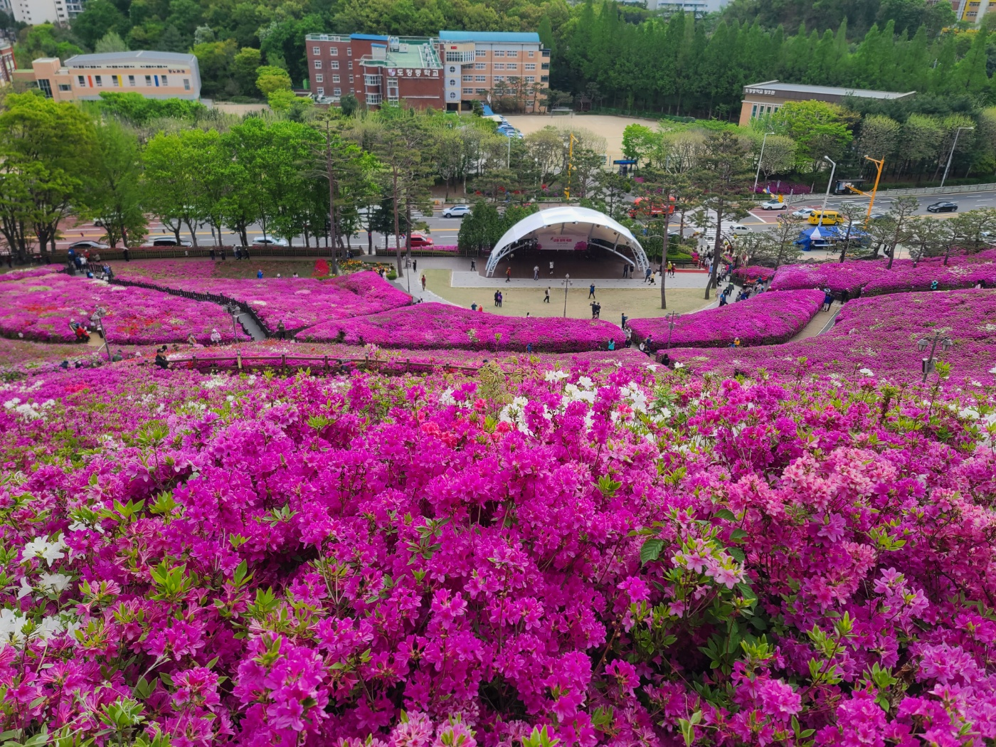 군포 산본의 철쭉동산 중간 전망대에서