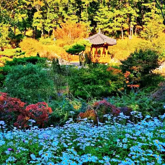 MBN 생생정보 마당 파주 명소 소개 방송
