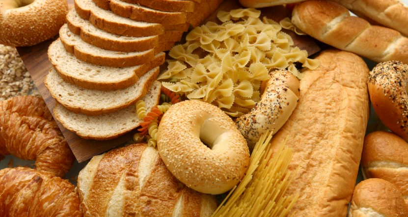 탄수화물 분해 성분 추천