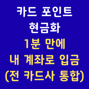 카드포인트통합조회 카드포인트현금화신청 여신금융협회 어카운트인포 숨은카드포인트찾기