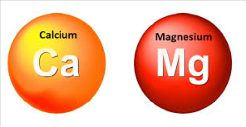 종아리 쥐나는 이유 칼슘과 마그네슘 이미지