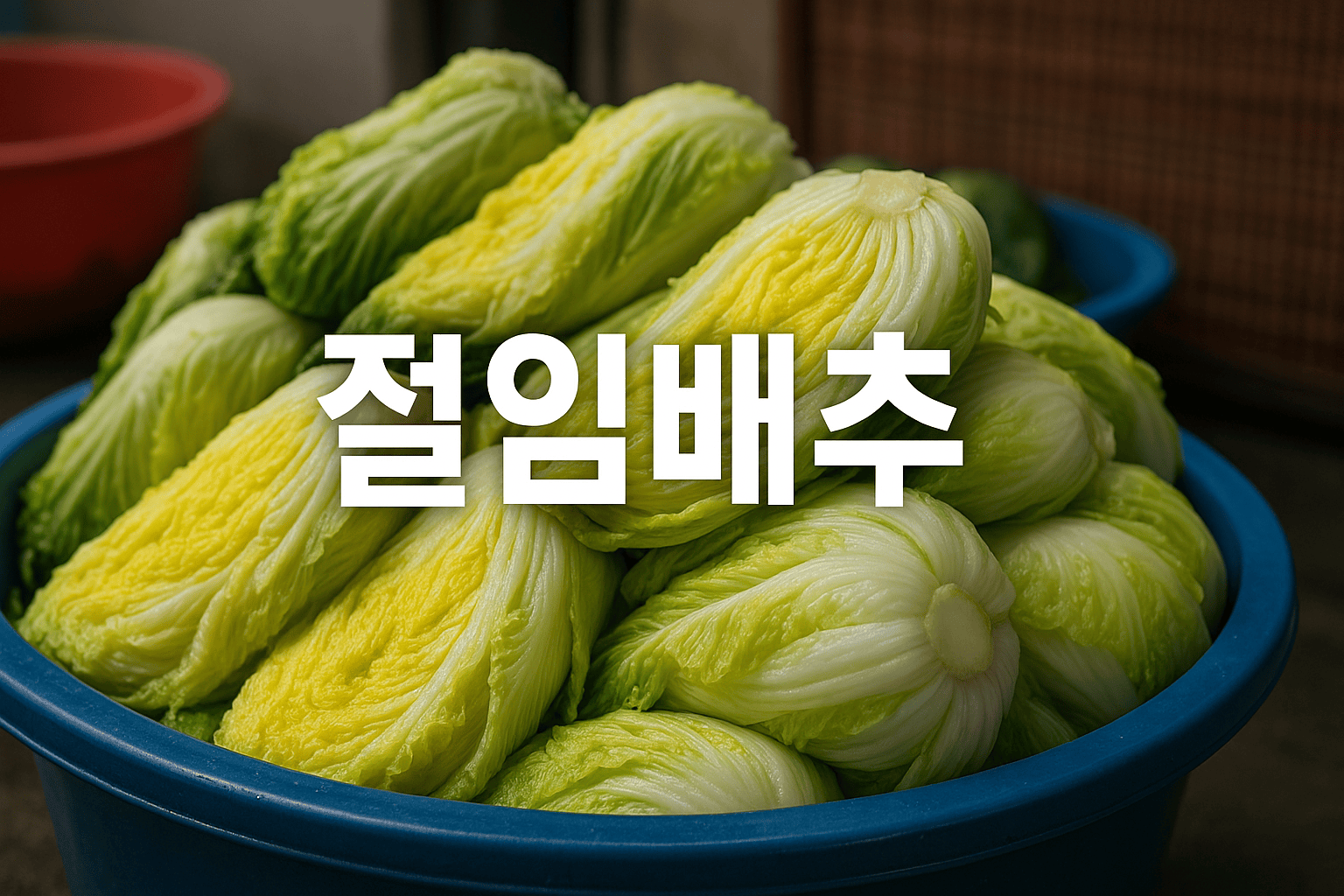 절임배추