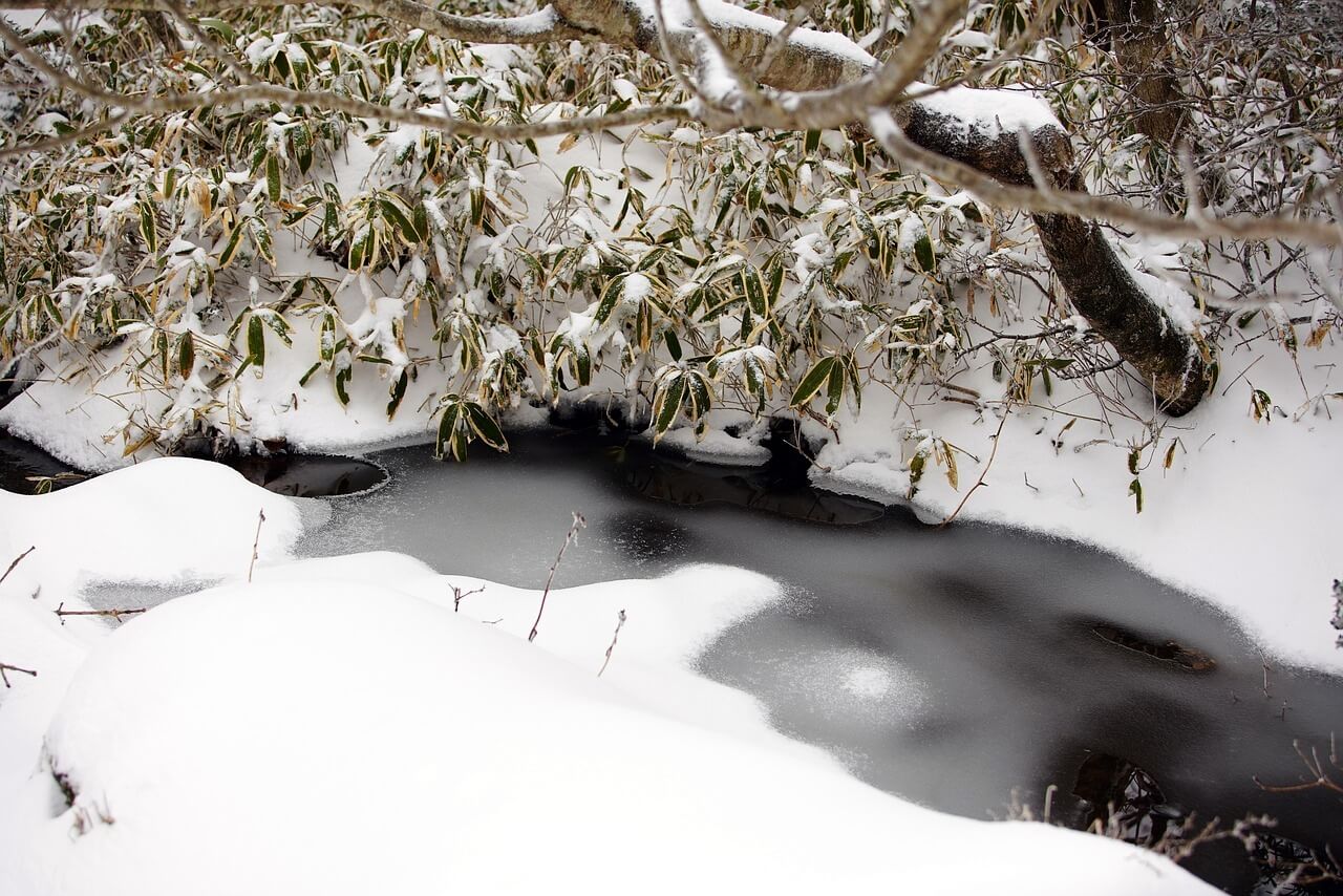 가평 청평 북한강 대성리 송어축제