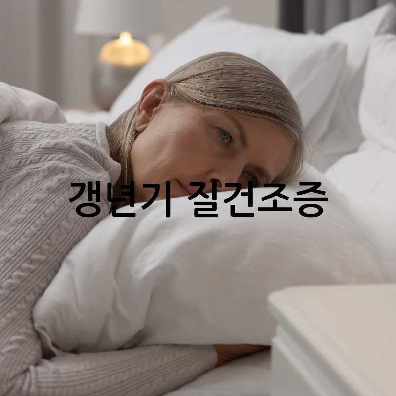 갱년기 여성의 질건조증