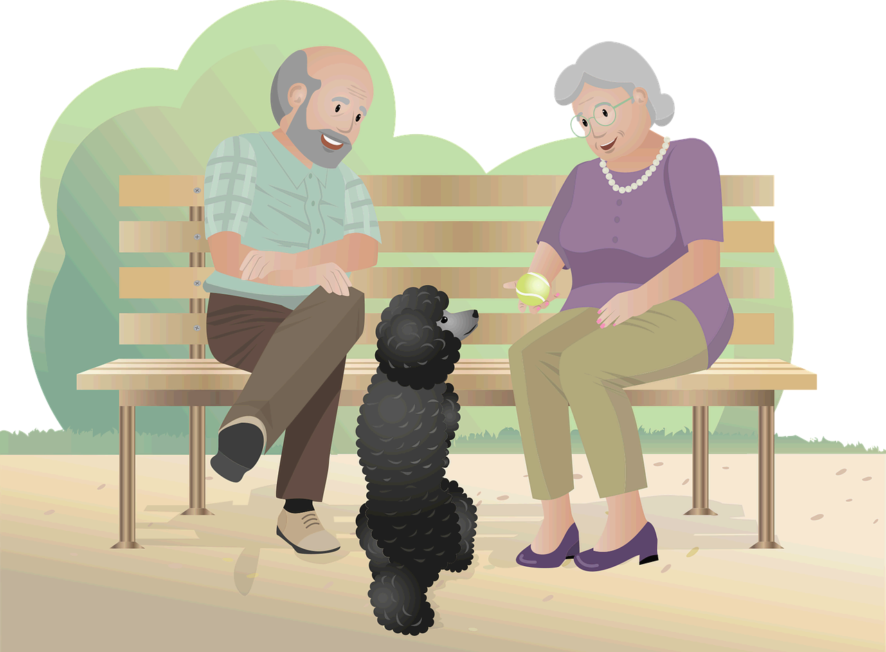 고령 환자 마취