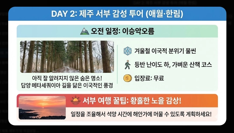 제주도 겨울 여행 3박4일 일정표 완벽 가이드 2026