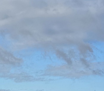 넥스트레이드-대체거래소-NXT-종목-흐름-상승률-패턴-분석-방법