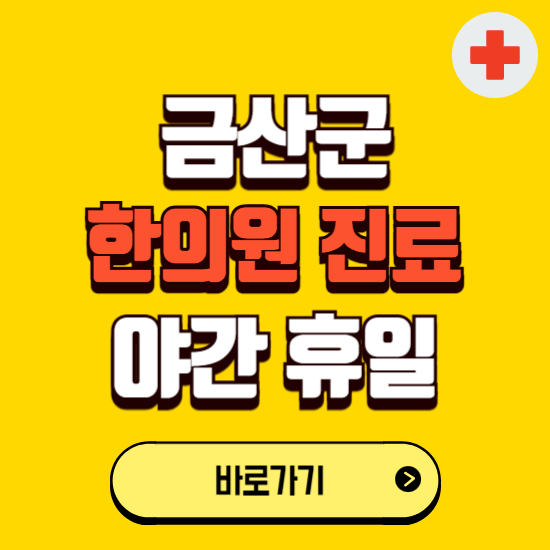 금산군 야간 휴일 한의원 한방병원 찾기 ❘ 24시 일요일 주말 연휴 응급진료 추천 잘하는 곳