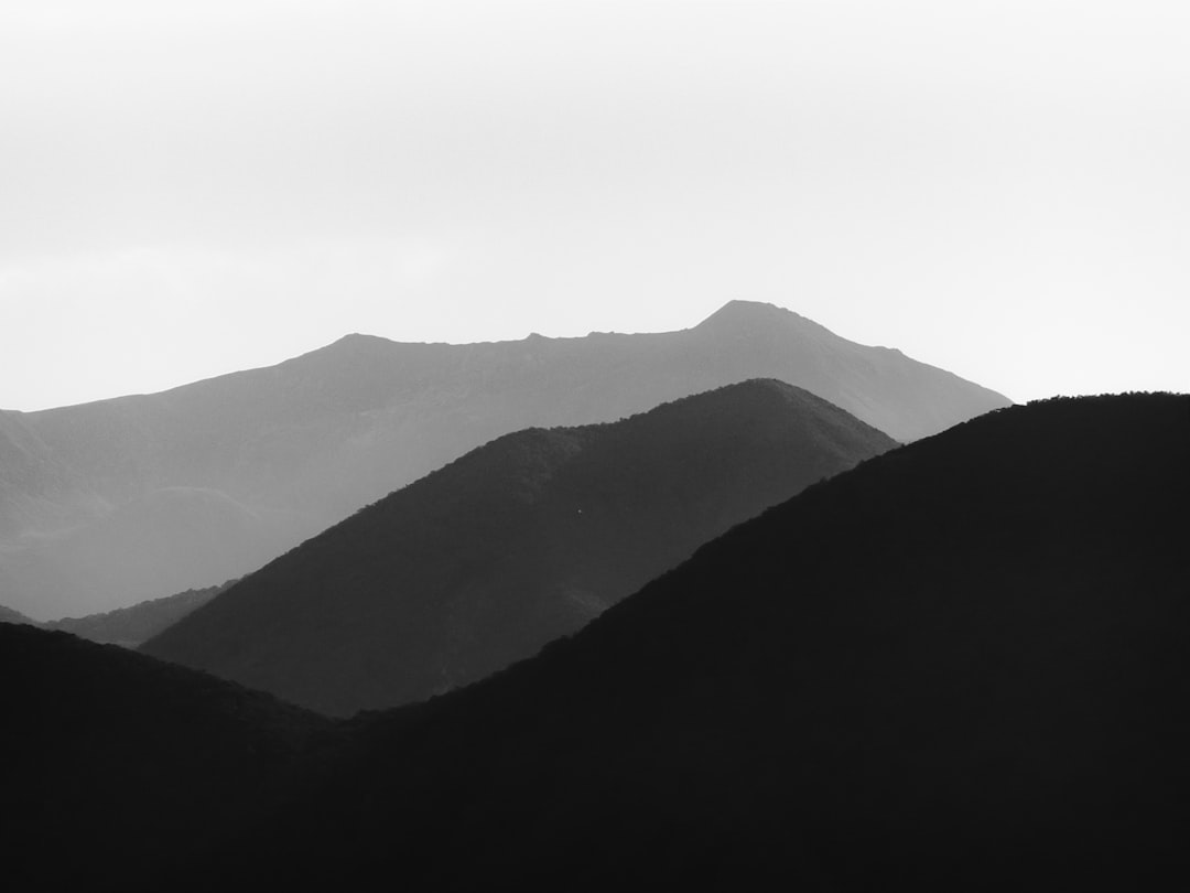Layer