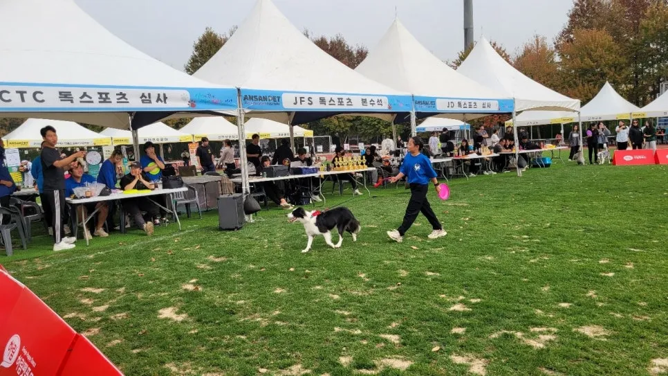 와스타디움 2024 안산 펫 페스티벌 일정 반려동물 문화 축제 프로그램 사전 신청 방법