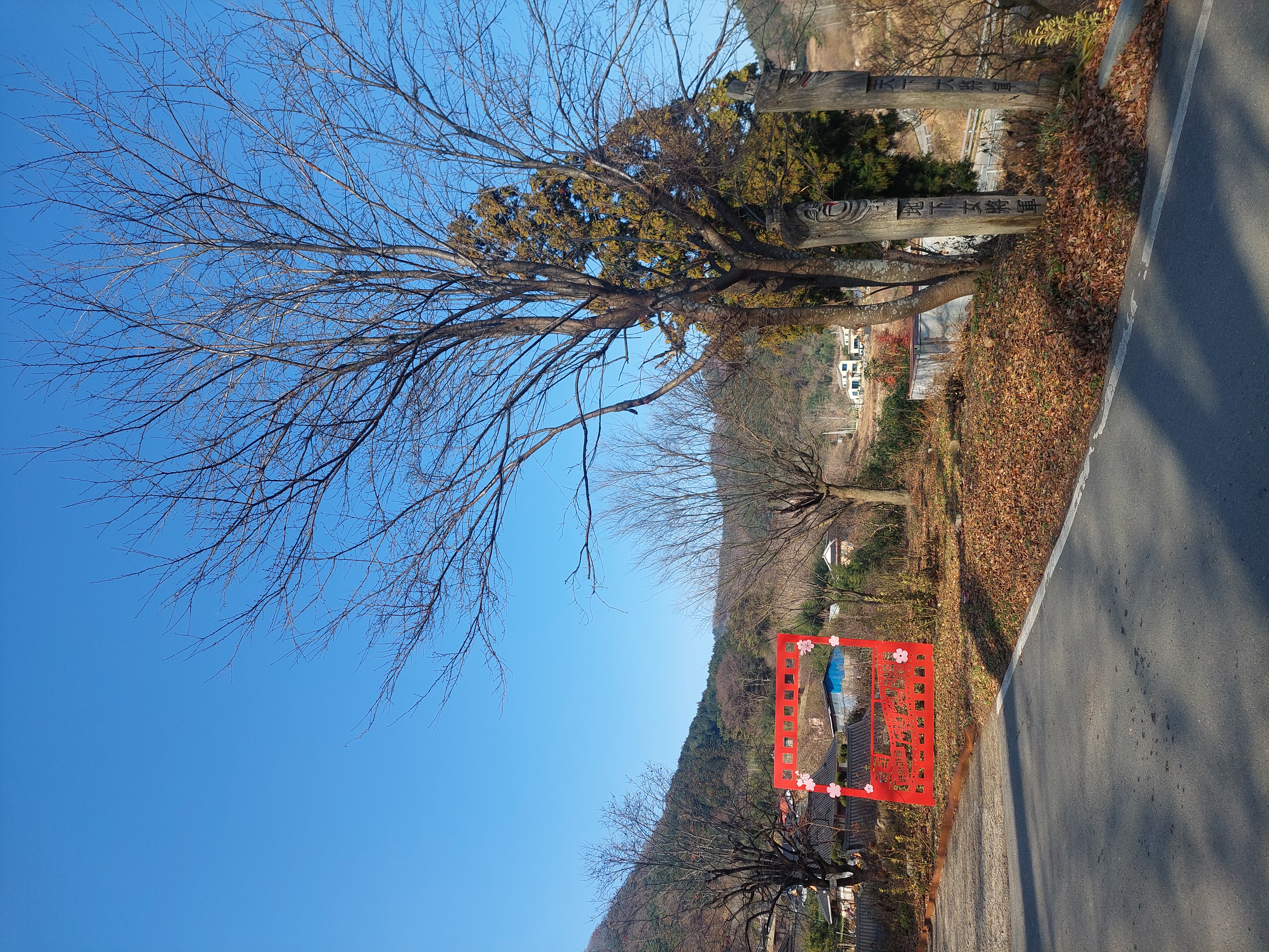 축령산