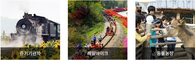 장미축제