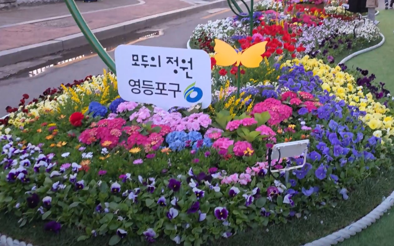 여의도 벚꽃 라떼와 밤산책