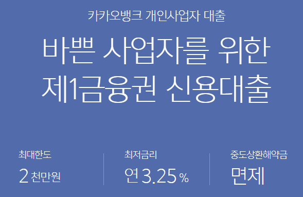 카카오뱅크 개인사업자대출 가능한곳