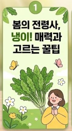 냉이 손질법 및 싱싱한 보관 꿀팁