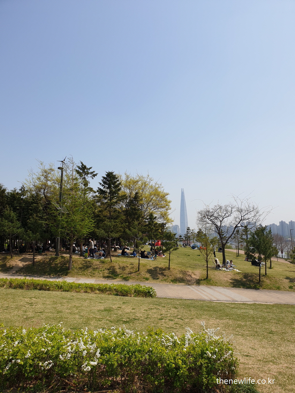 봄날의 뚝섬 한강공원, 푸른 잔디밭 위에서 나무 그늘을 따라 사람들이 여유롭게 피크닉을 즐기고 있다. 멀리 롯데타워가 보인다.