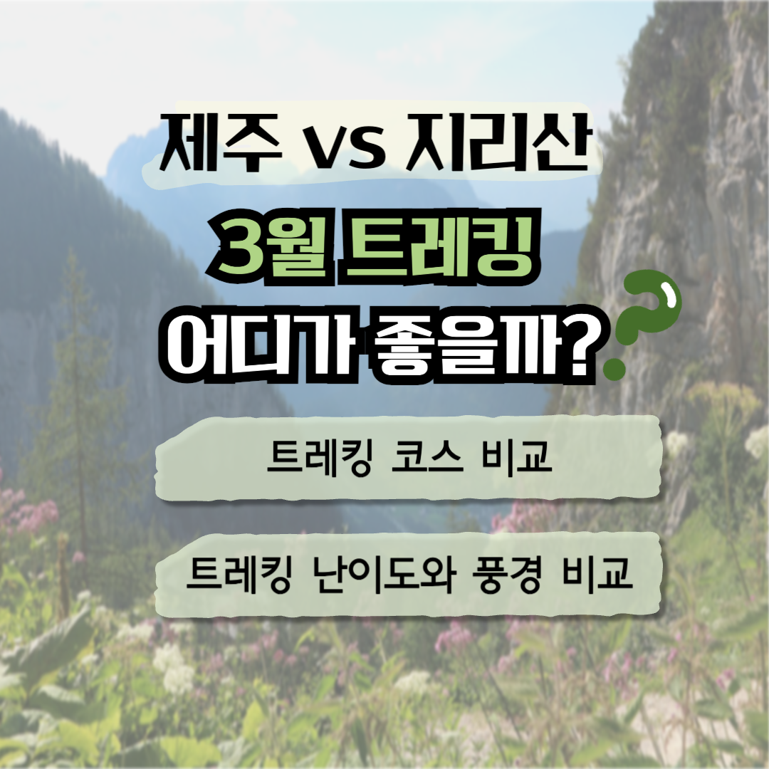 제주 트레킹과 지리산 트레킹 중에 3월 트레킹은 어디가 좋을까? 관련 사진