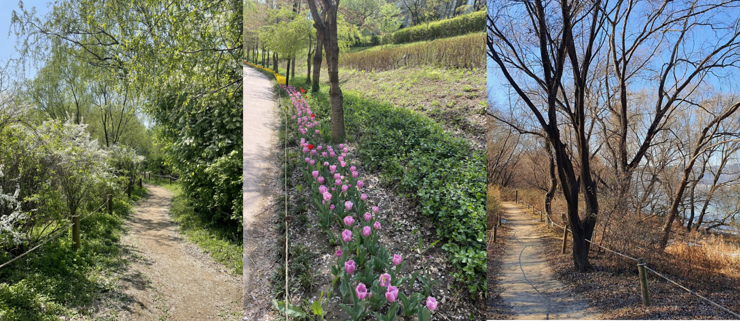 고덕수변생태공원