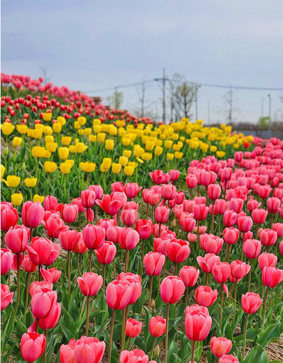 평택-농업생태원 -사진