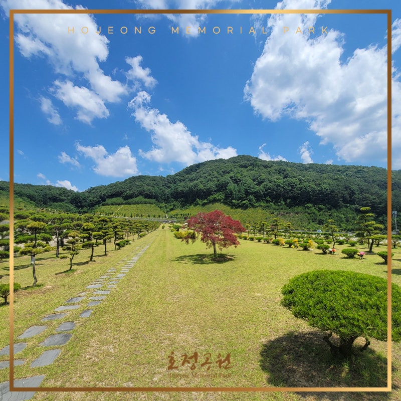 파주 수목장