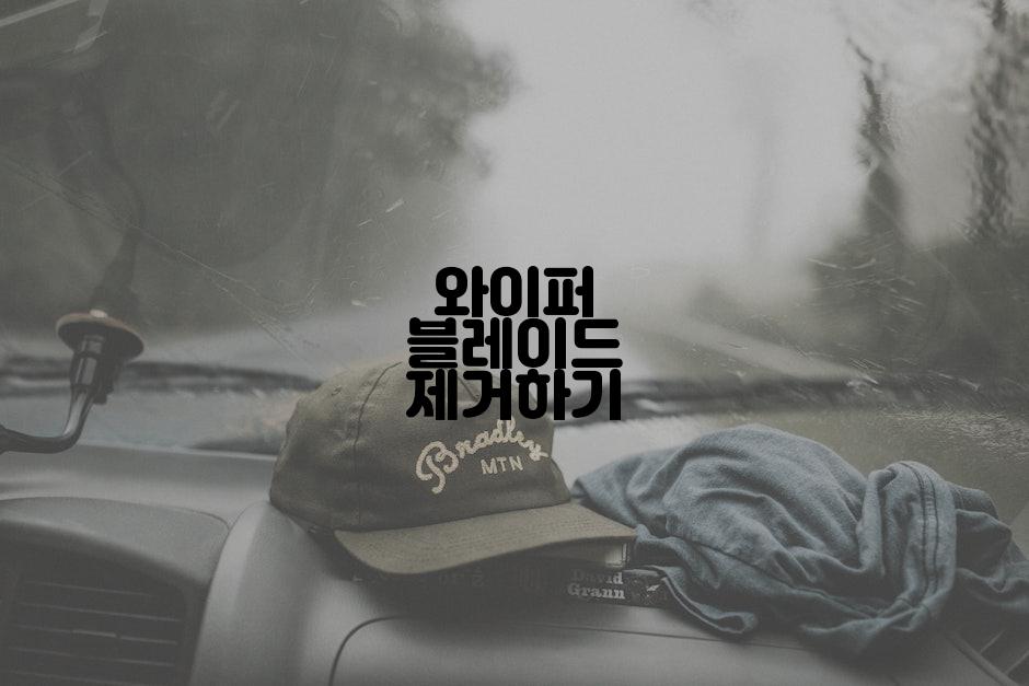 와이퍼 블레이드 제거하기