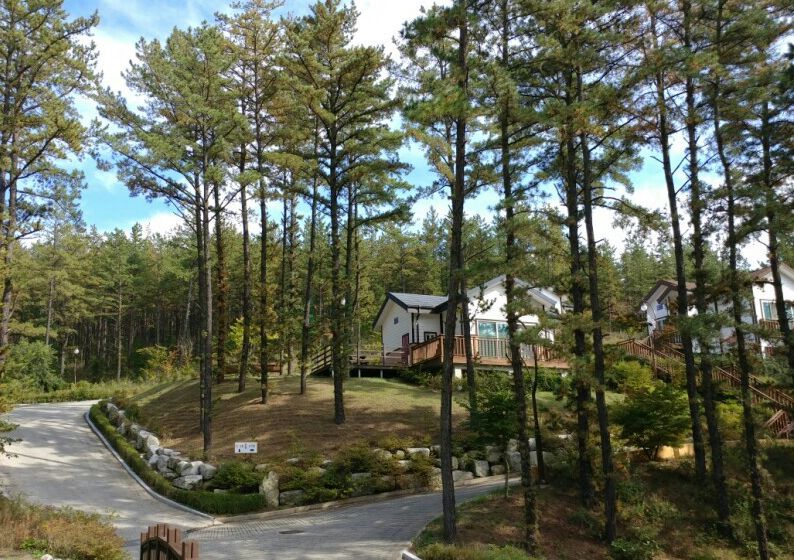 운주산승마자연휴양림