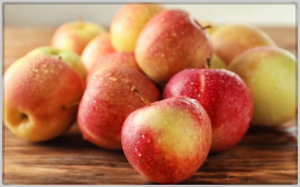 연말연시 선물 청송사과