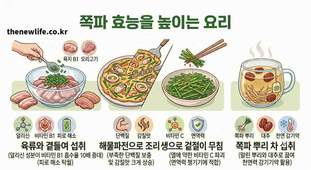 쪽파 효능 높이는 요리