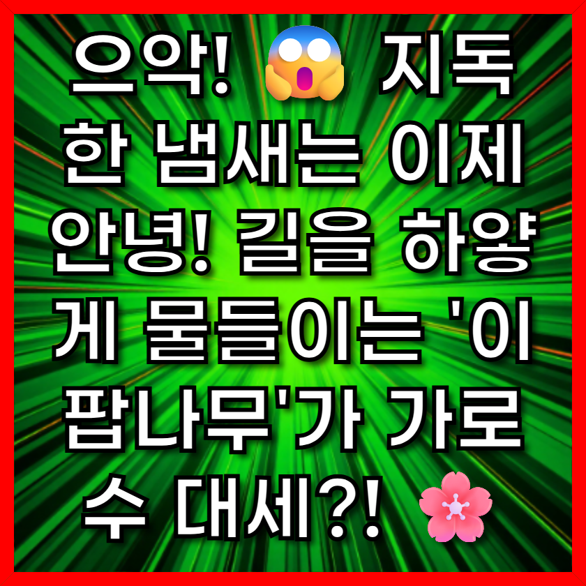 으악! 😱 지독한 냄새는 이제 안녕! 길을 하얗게 물들이는 '이팝나무'가 가로수 대세?!