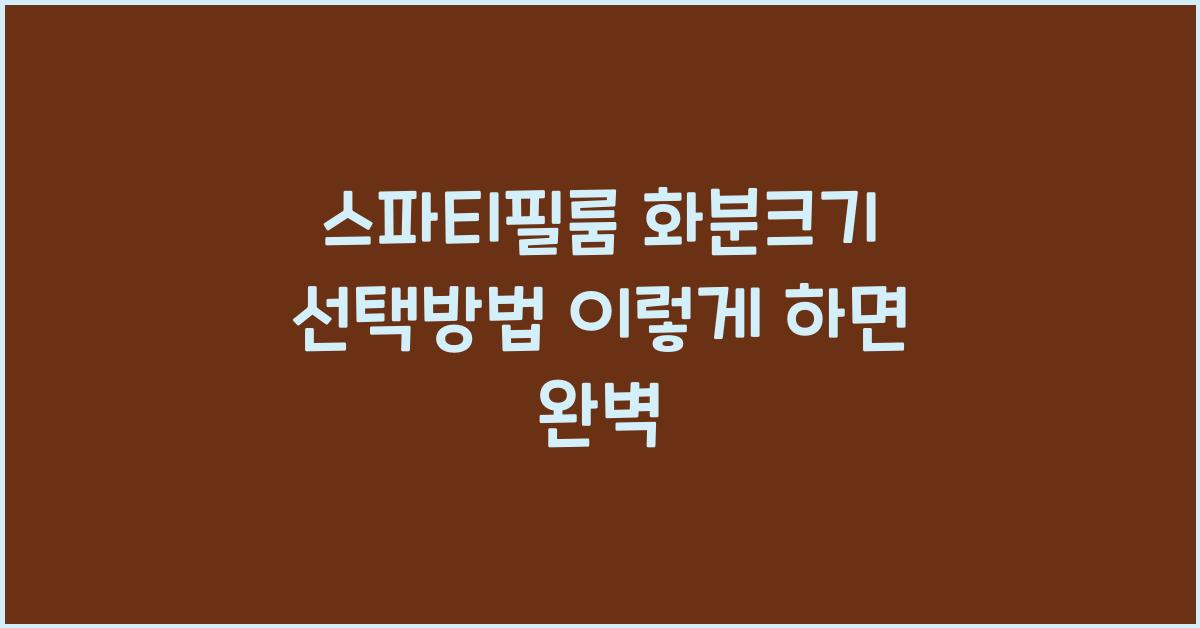 스파티필룸 화분크기 선택방법