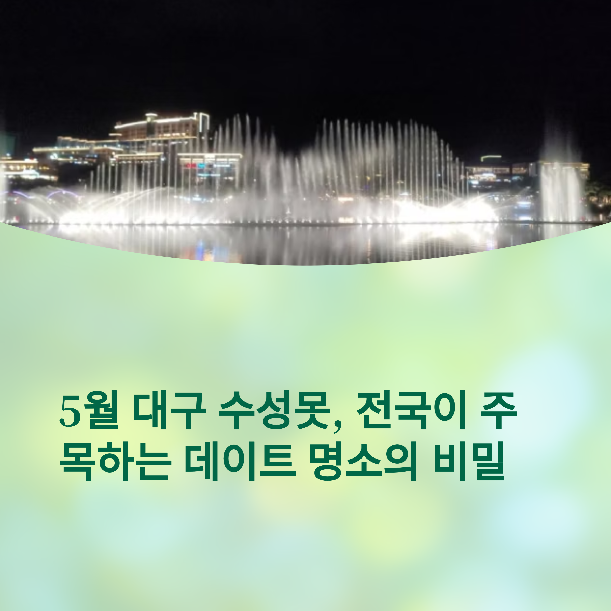 대구 수성못 야경사진