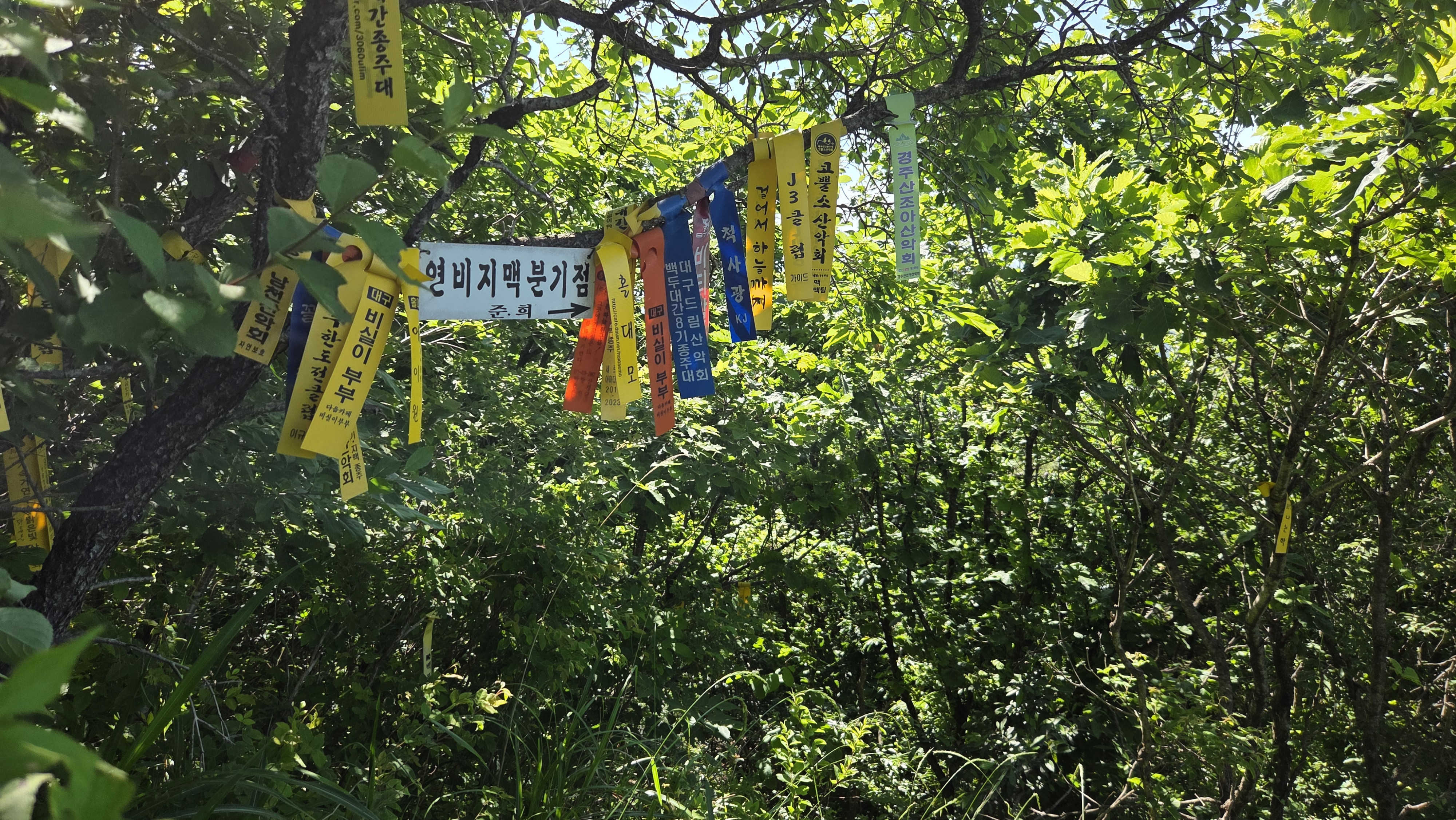 백두대간 복성이재-무령고개