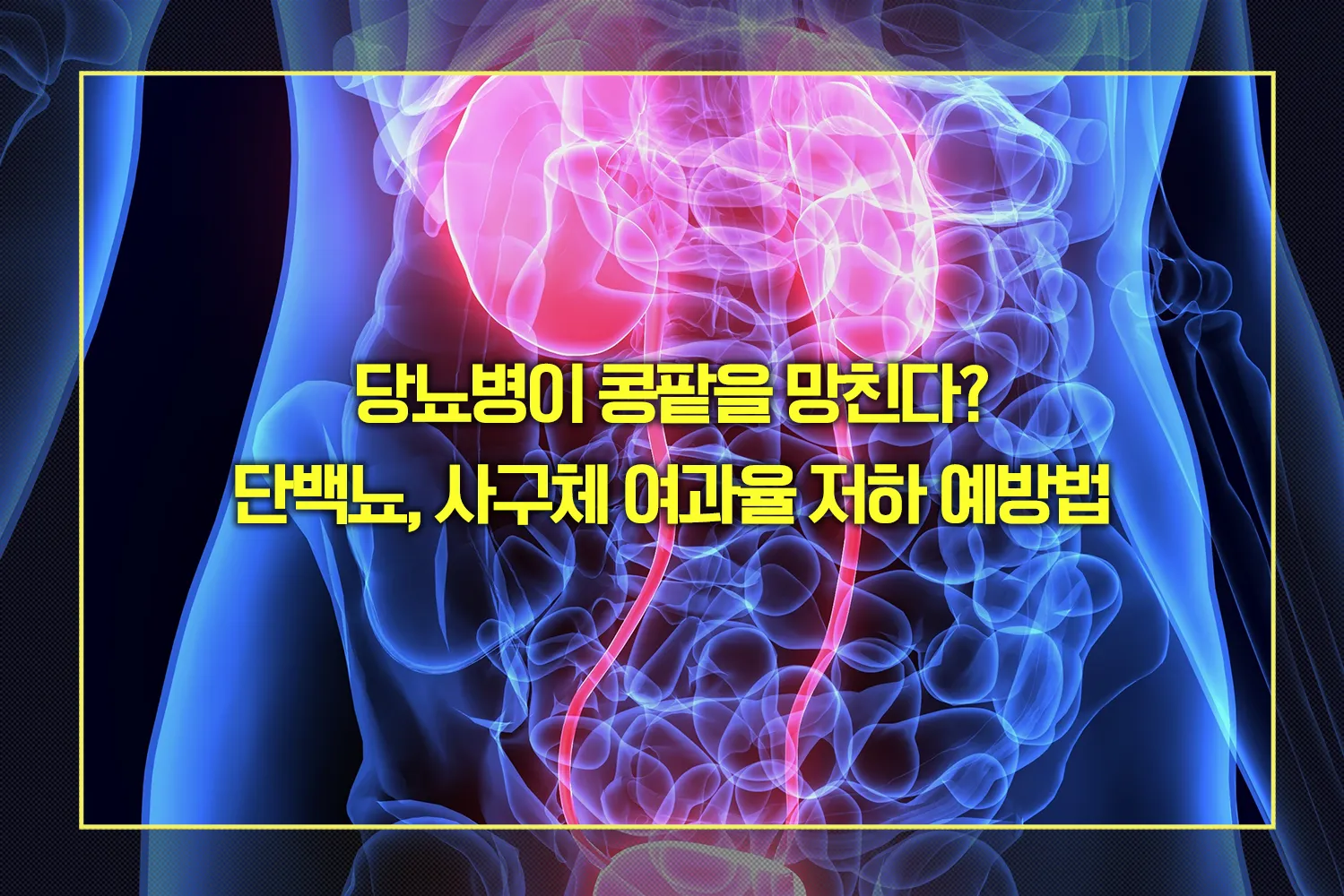 단백뇨, 사구체 여과율 저하 예방법