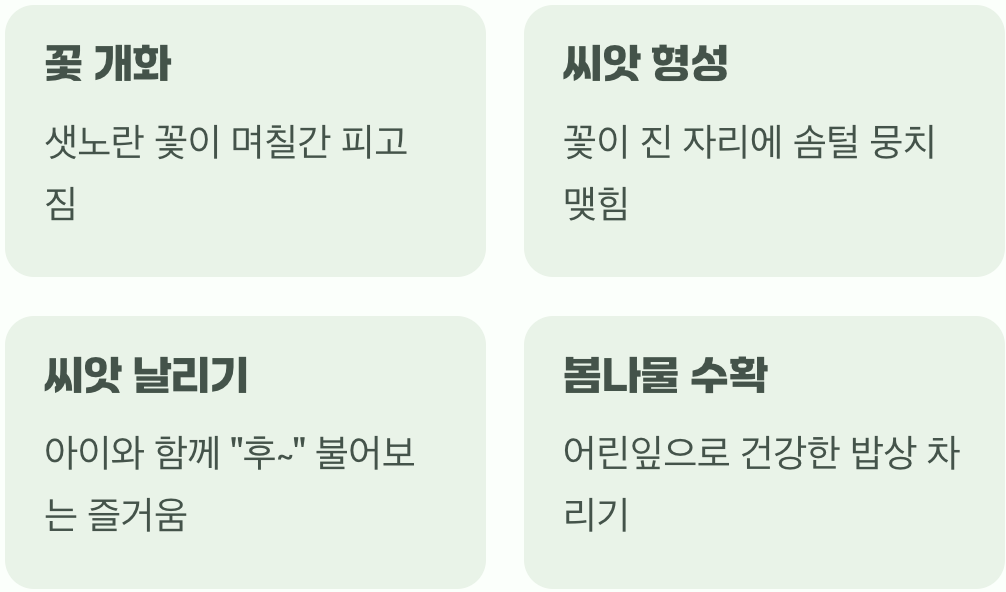 노란 꽃에서 하얀 솜털까지&amp;#44; 생명의 순환