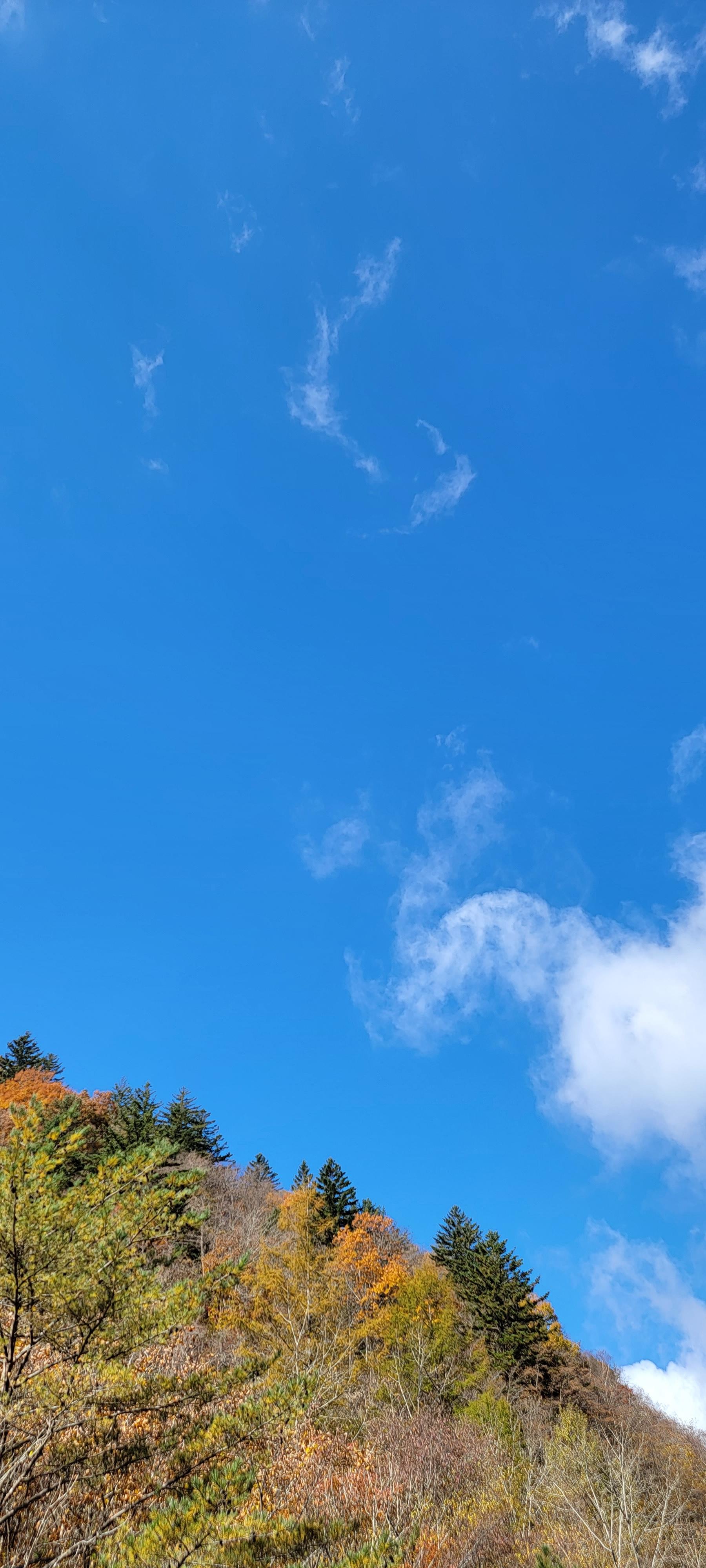 선재길