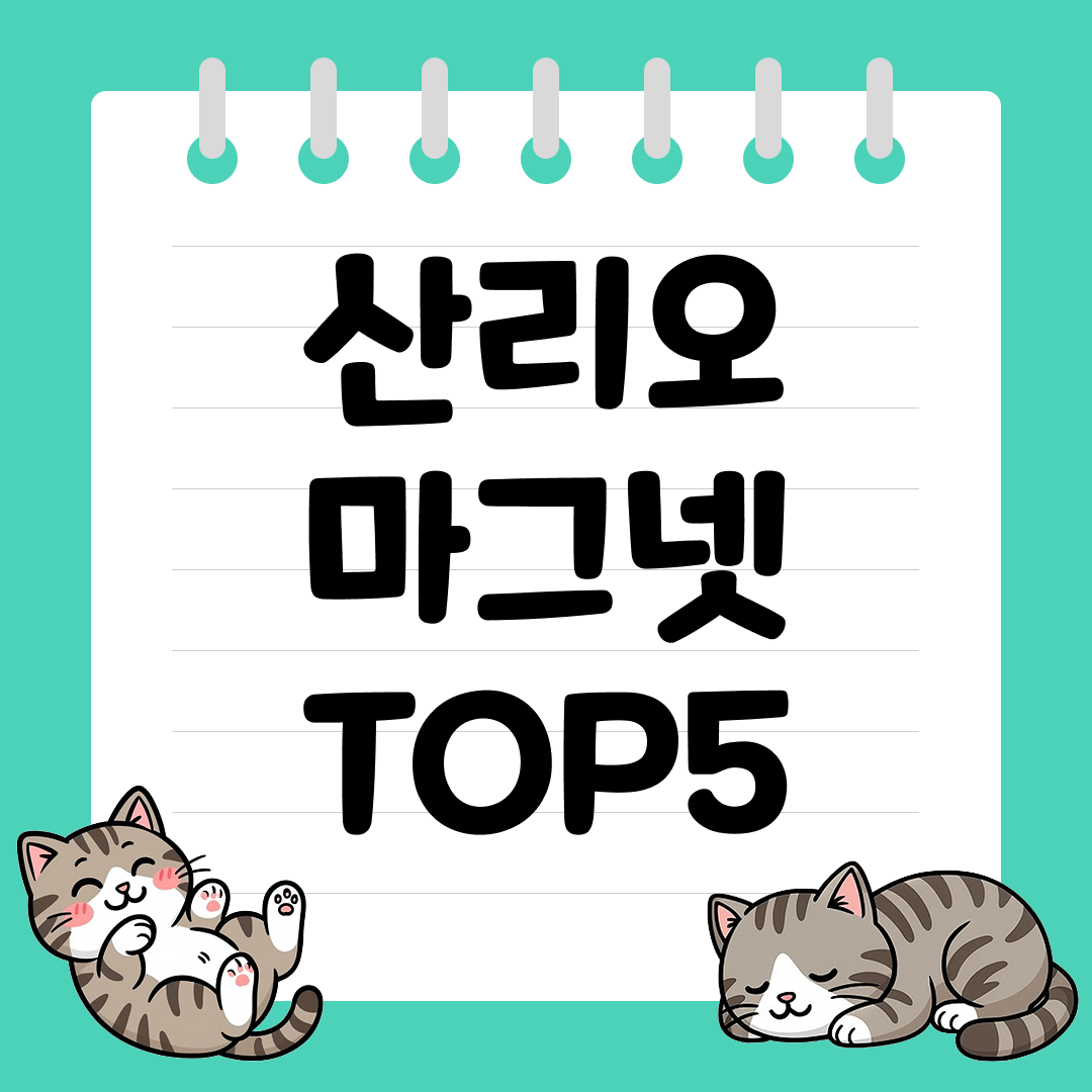 냉장고와 책상을 꾸미는 귀여운 산리오 마그넷 추천 순위 TOP5