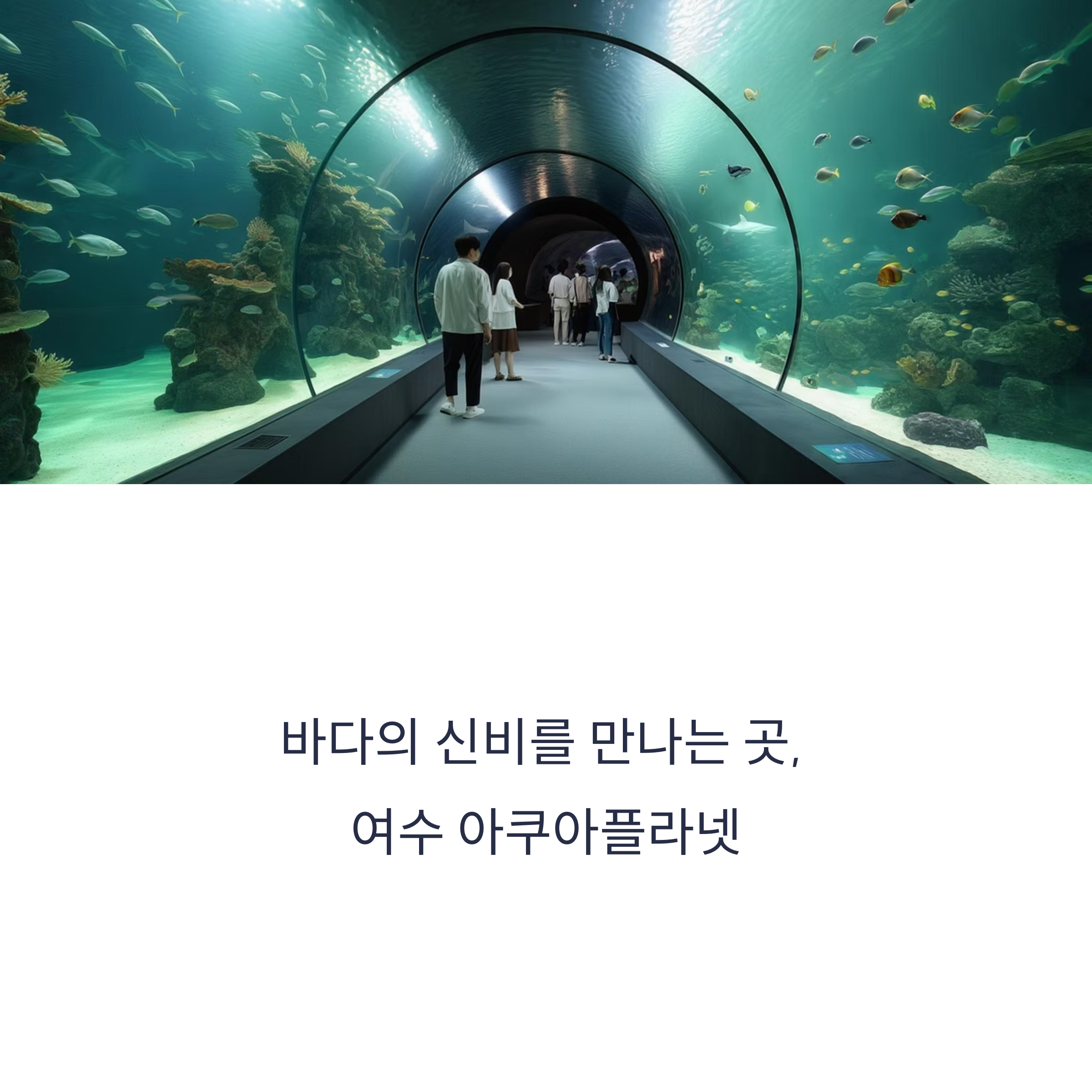 여수 아쿠아플라넷