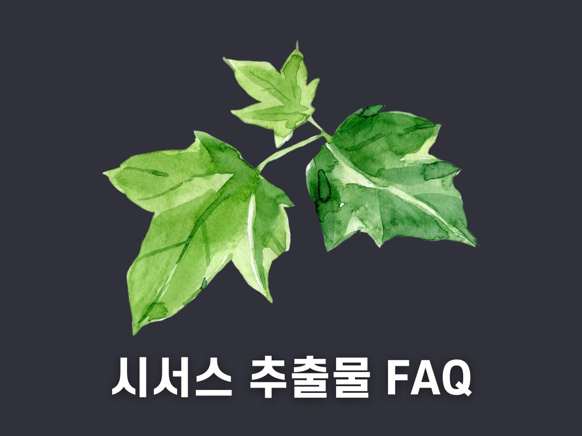 시서스 추출물 상식