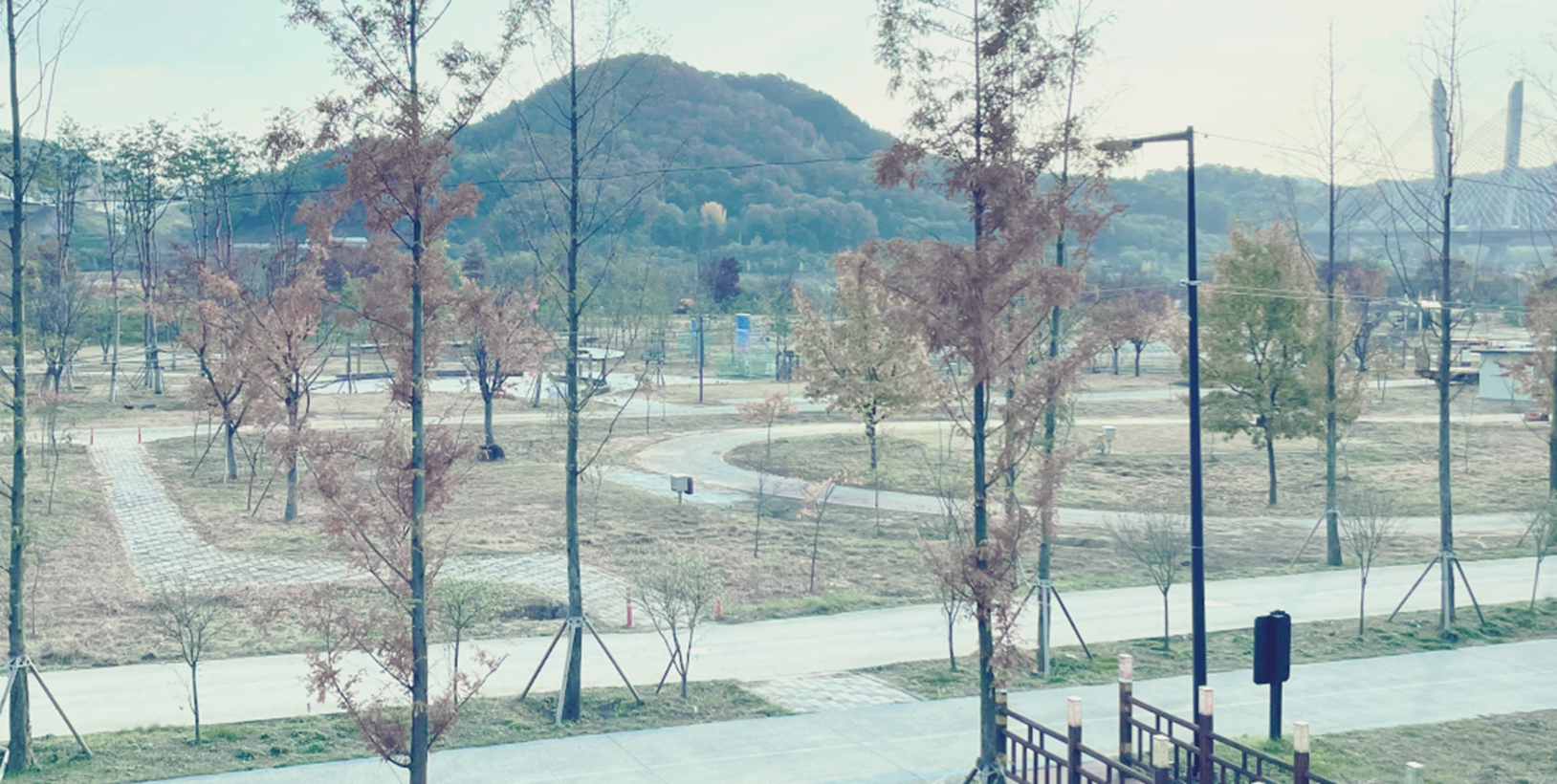 나무가 많은 합강공원 오토캠핑장