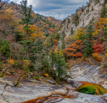 2024년 단풍절정시기