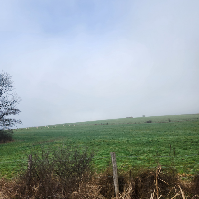 프랑스 드망주벨 - 안개낀 언덕 풍경