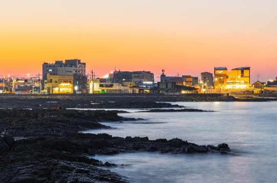 세화해변 유채꽃밭