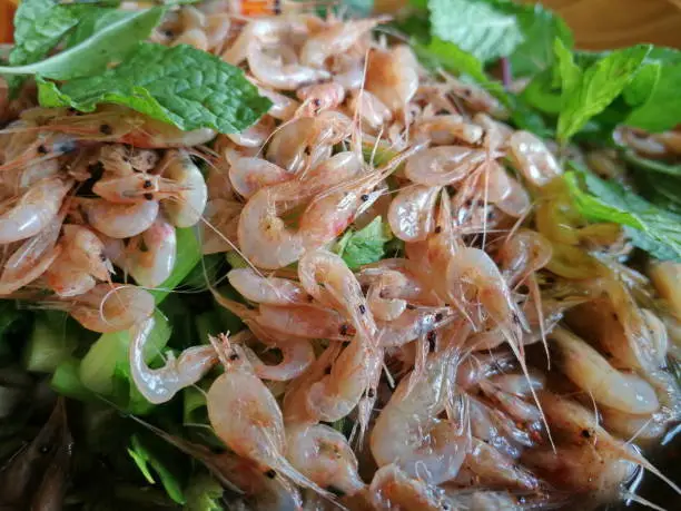 울릉도 독도새우 맛집 총정리 - 진짜 현지인도 인정한 곳