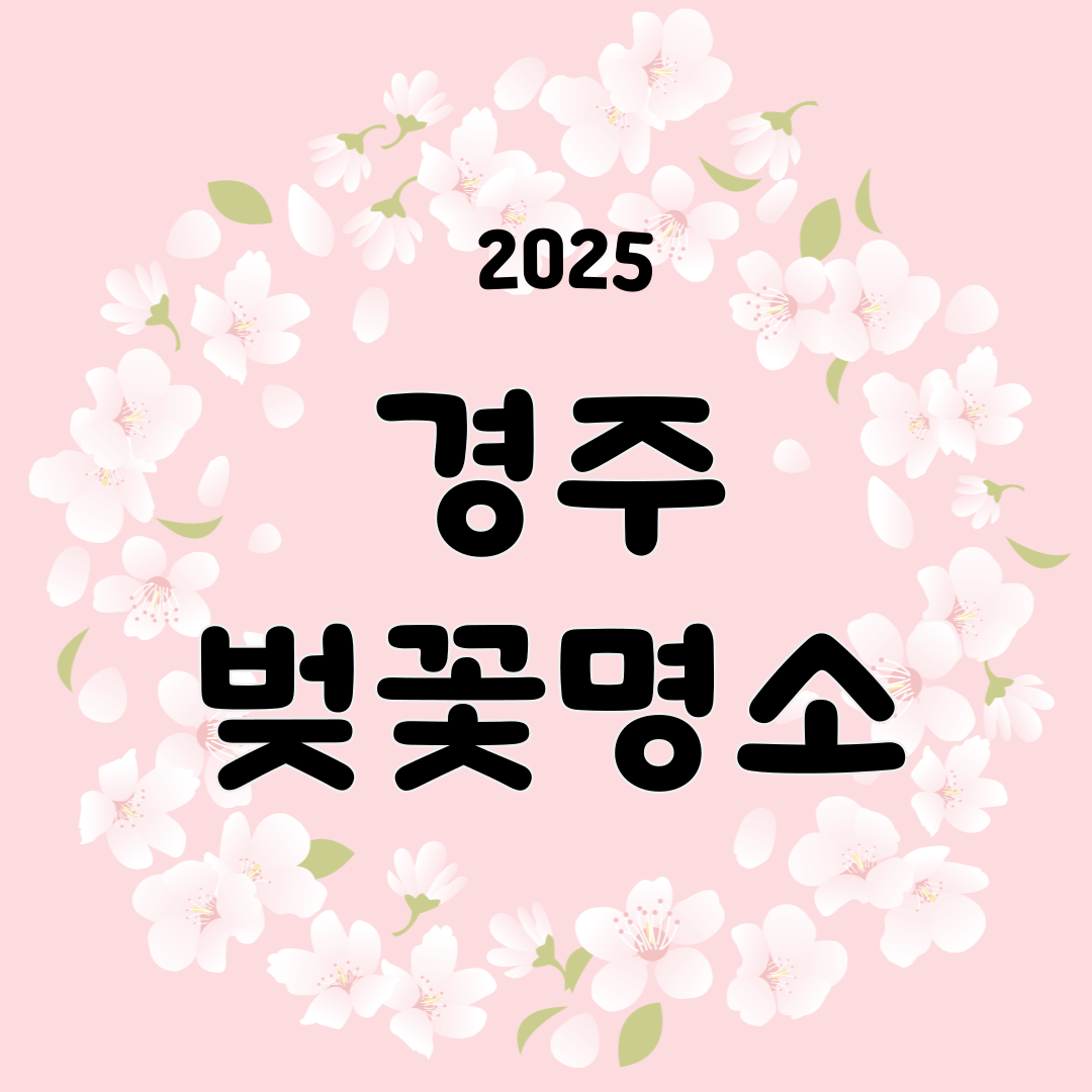경주벚꽃명소