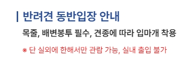 반려견 동반 입장 시 지켜야 할 필수 수칙