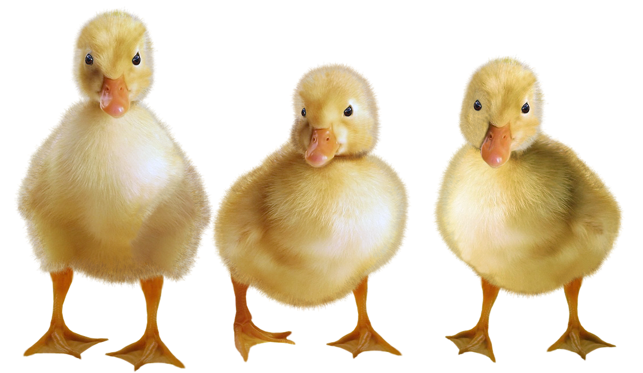 퇴직연금 계산방법