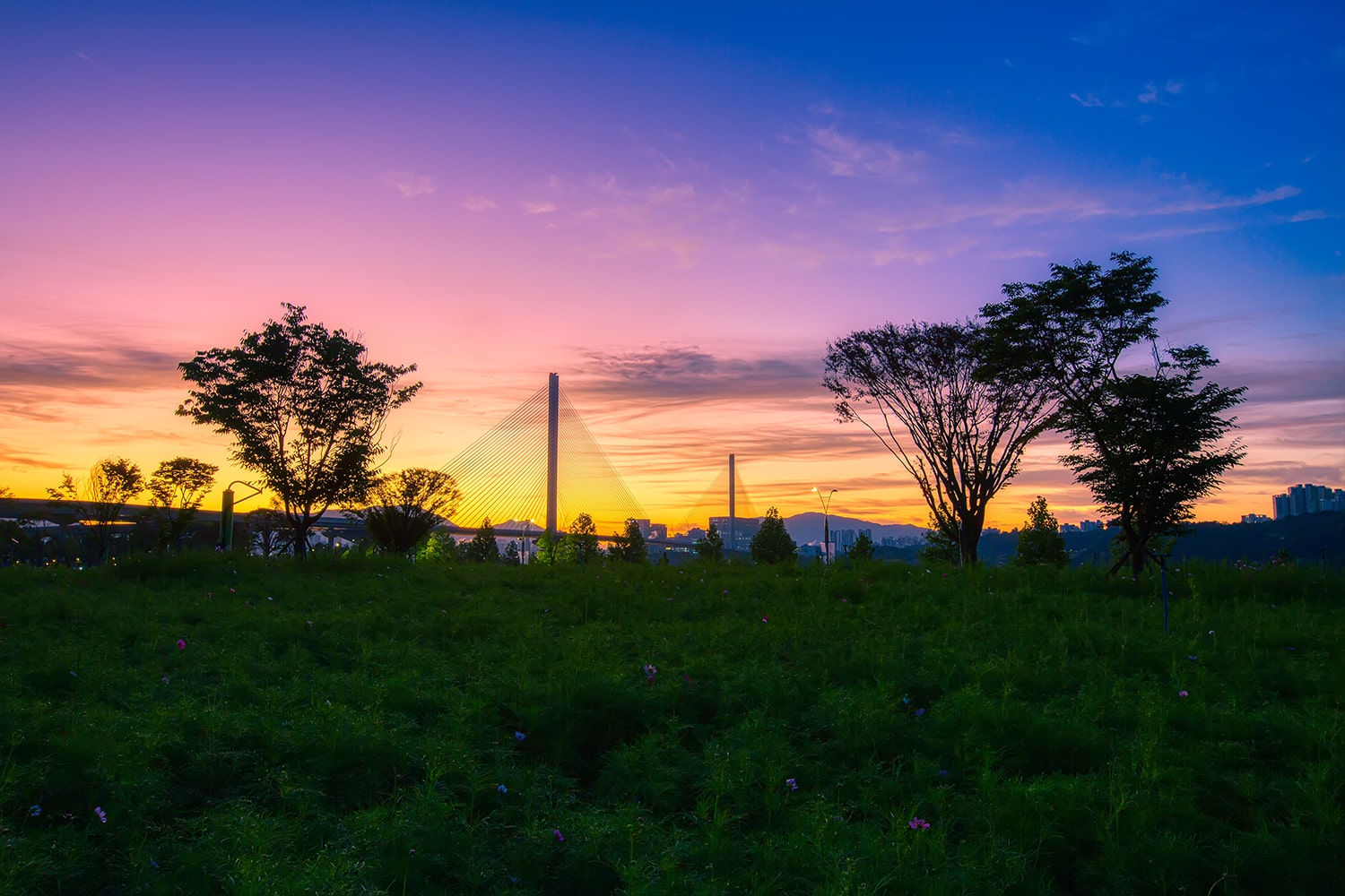구리 한강공원- 11