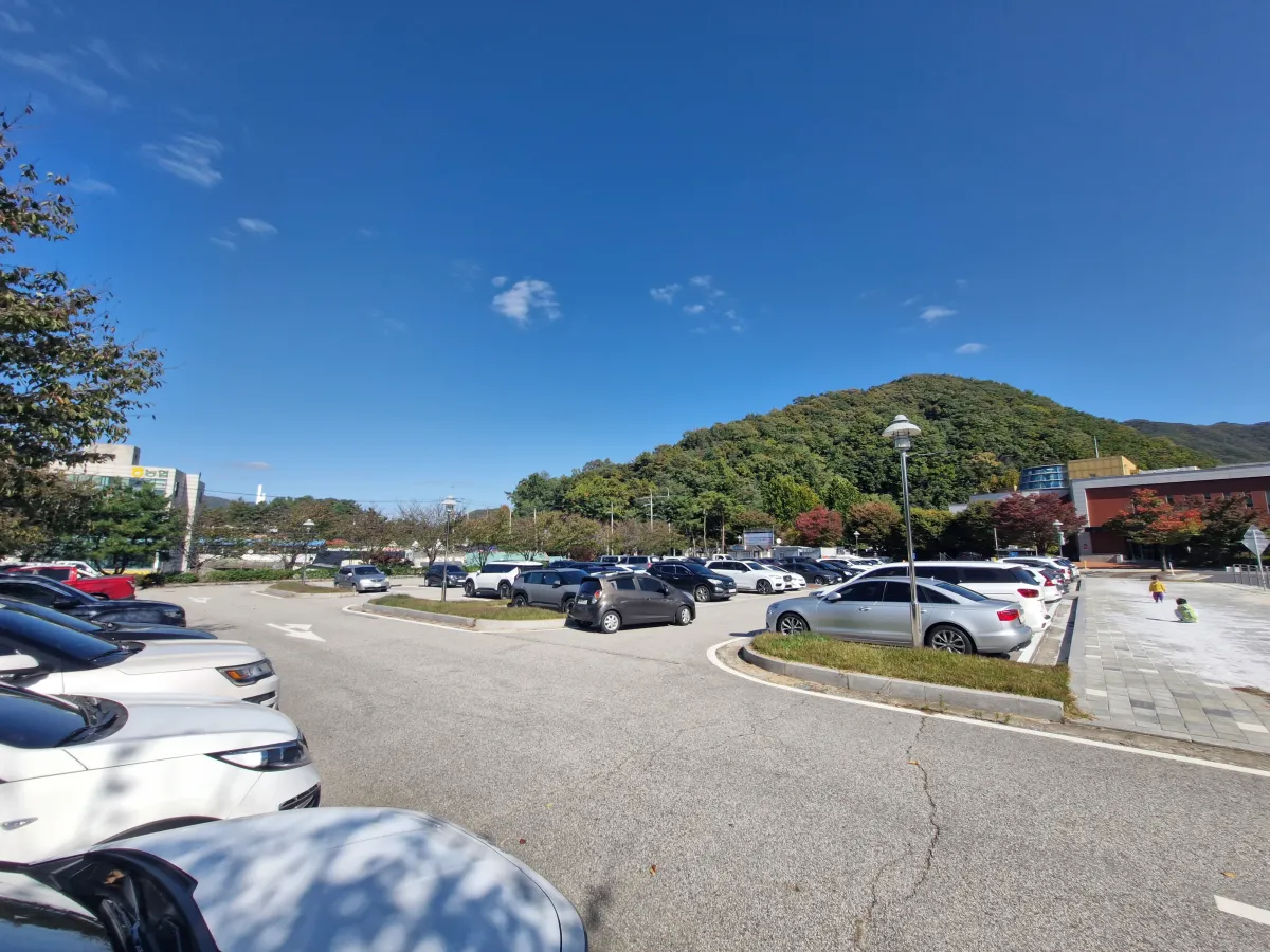 어린이박물관-주차장-주차되어-있는-자동차-모습