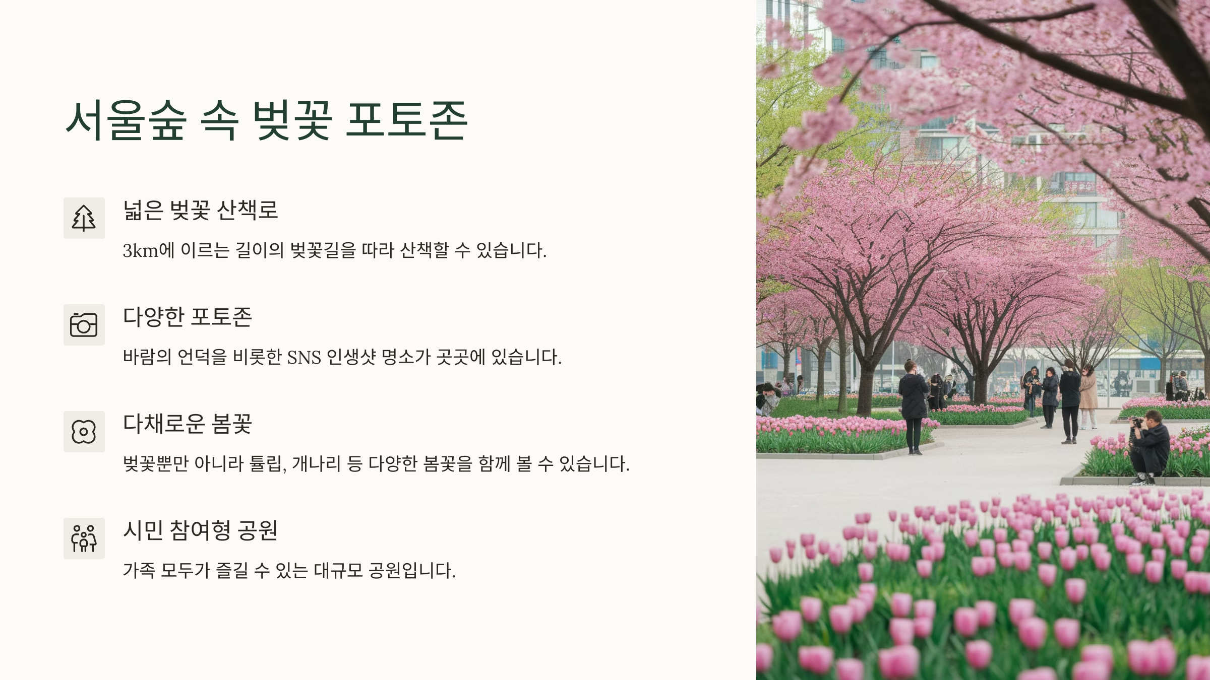 서울숲 속 벚꽃 포토존
