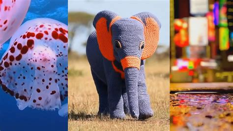 Veo2의 주요 특징